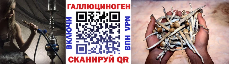 Галлюциногенные грибы Magic Shrooms Шиханы